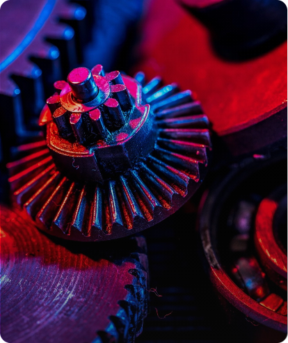 Grupo 242